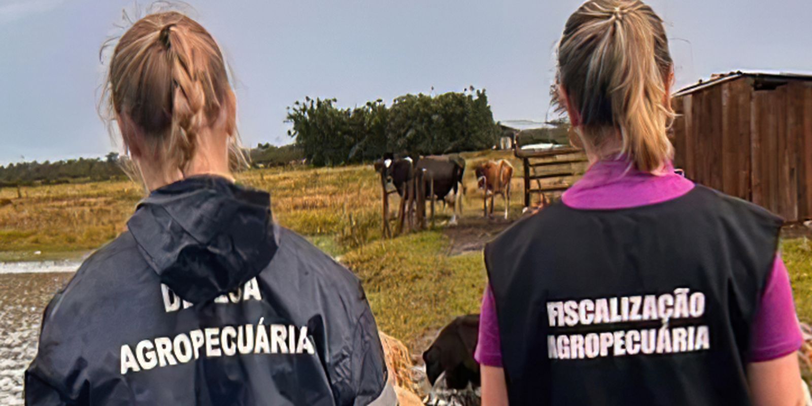 Zoológico de Brasília é fechado após suspeita de gripe aviária