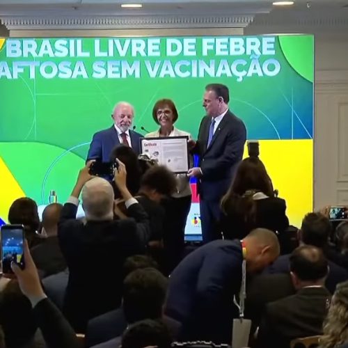 Brasil recebe certificado de livre de febre aftosa sem vacinação