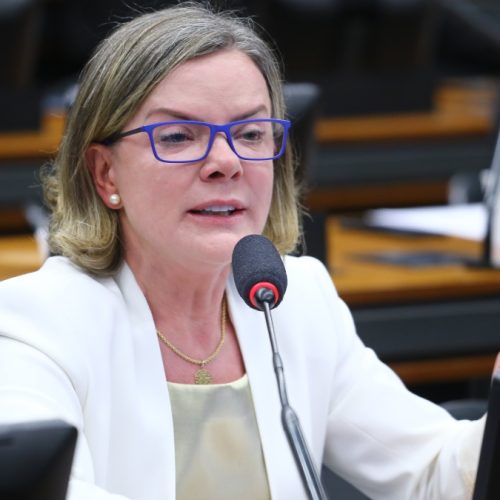 Gleisi critica oposição e diz que “obstruir é colocar interesses de Bolsonaro à frente do Brasil”