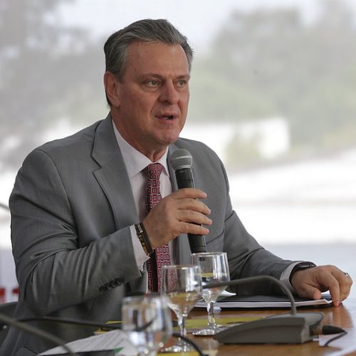 Mato Grosso registra foco de gripe aviária em aves de subsistência