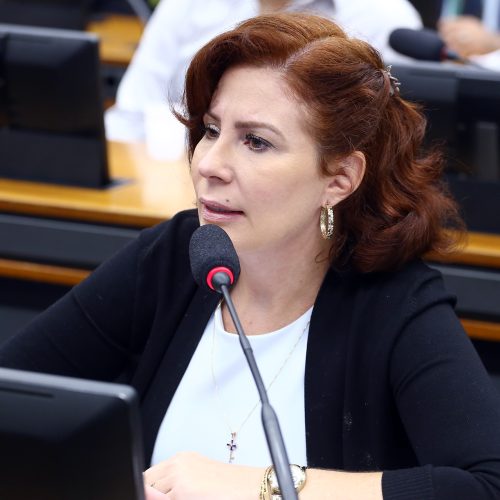 Primeira Turma do STF julga recurso de Zambelli