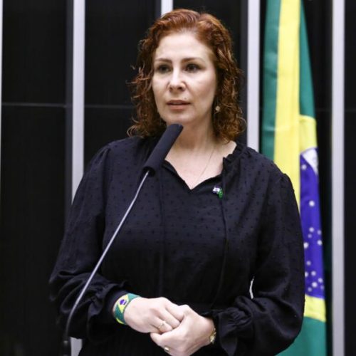 STF julga Zambelli e Delgatti por invasão ao sistema do CNJ