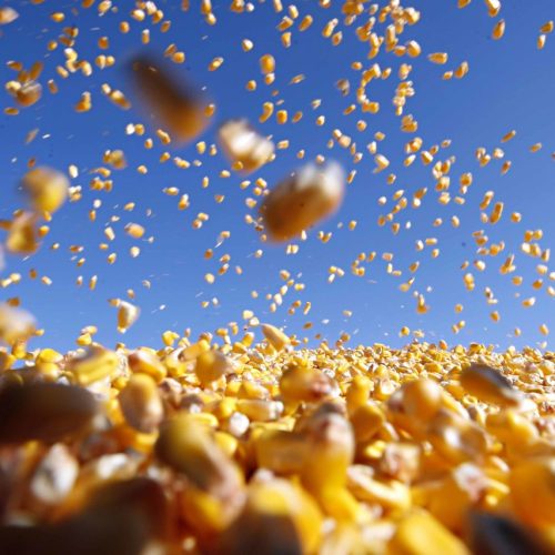 Tributação no agronegócio: como investimentos são afetados