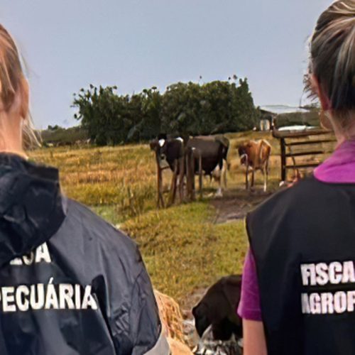 Zoológico de Brasília é fechado após suspeita de gripe aviária