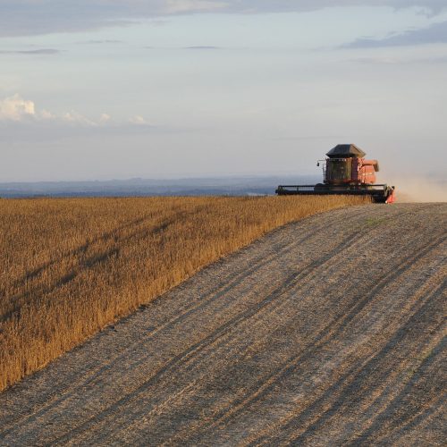 como a guerra afeta a produção agrícola brasileira