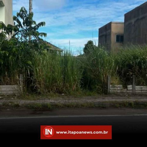 Moradora do Paese Pede Socorro por Situação Crítica em Terrenos Baldios na Rua Corvina